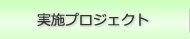 実施プロジェクト